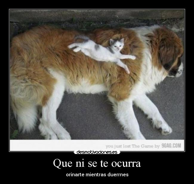 Que ni se te ocurra - orinarte mientras duerrnes