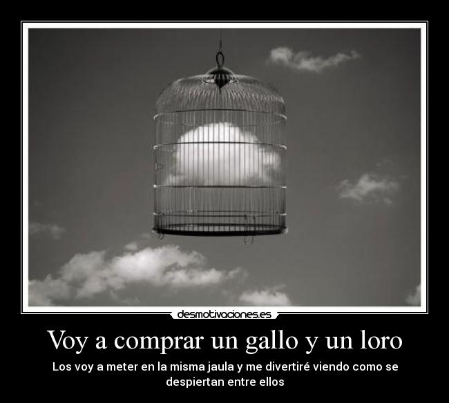 carteles jaula gallo loro desmotivaciones