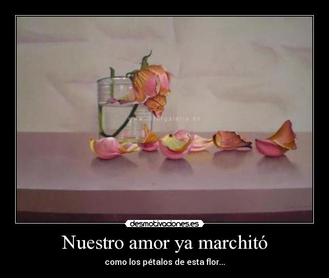 Nuestro amor ya marchitó -