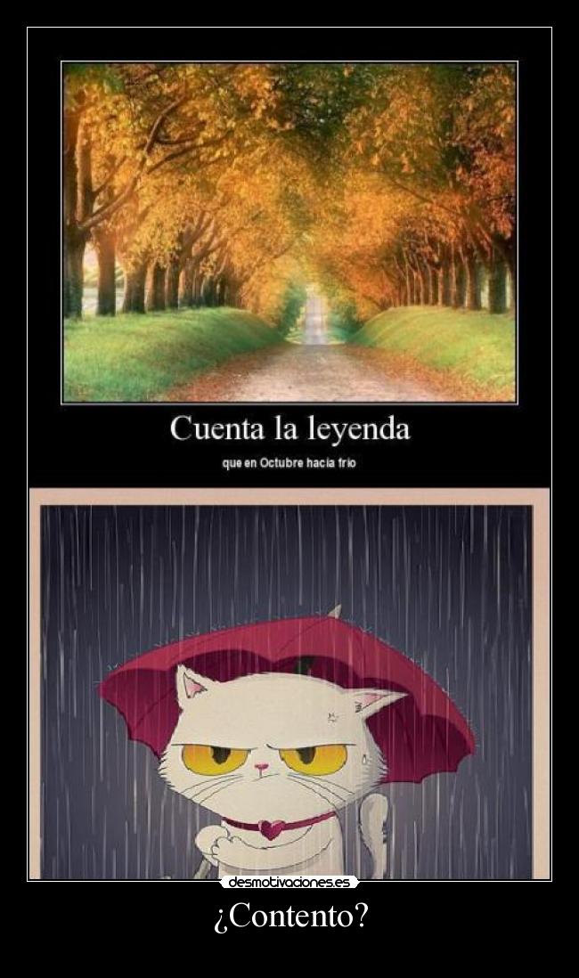 ¿Contento? -