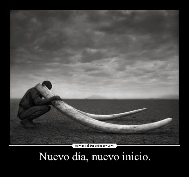 Nuevo día, nuevo inicio. -