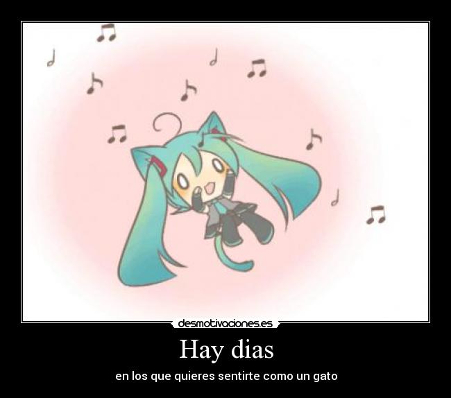 Hay dias - en los que quieres sentirte como un gato