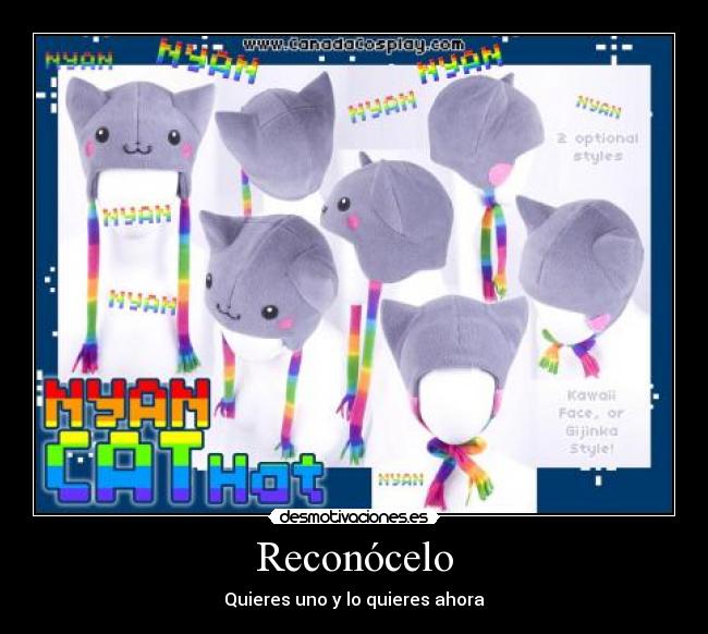 carteles poner cosas coherentes las etiquetas paso moda nadie las lee desmotivaciones