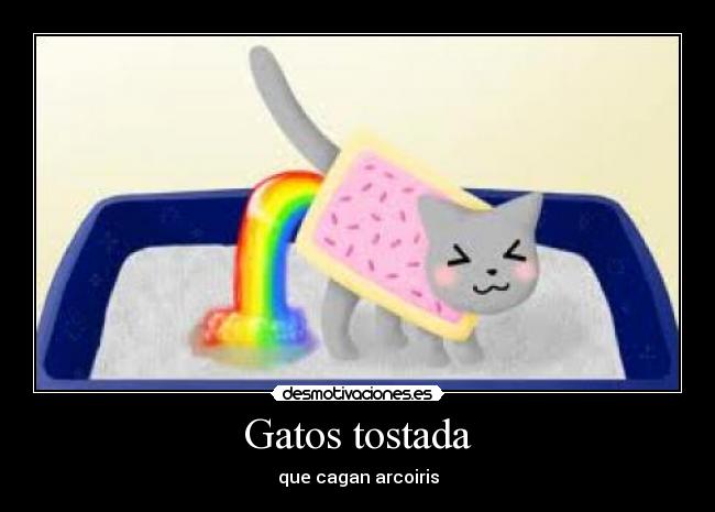 Gatos tostada -