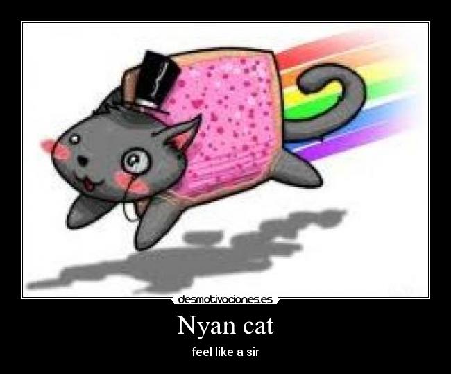 Nyan cat - feel like a sir
