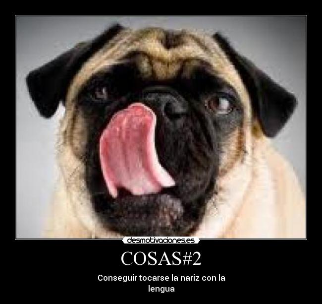 carteles melenitas desmotivaciones