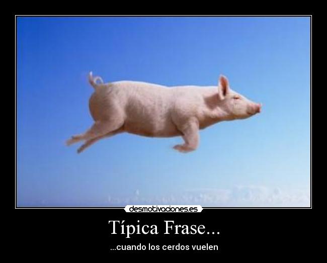 Típica Frase... -