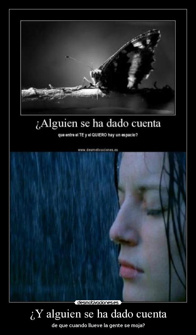 ¿Y alguien se ha dado cuenta -