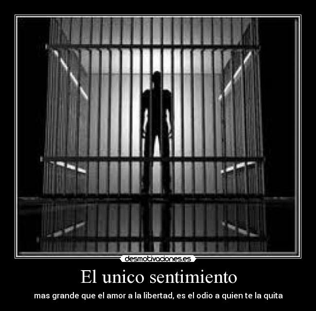 El unico sentimiento - mas grande que el amor a la libertad, es el odio a quien te la quita