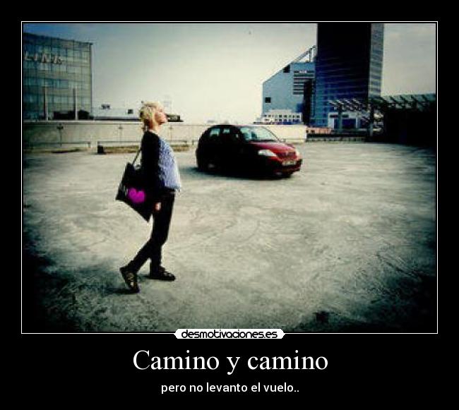 carteles camino desmotivaciones