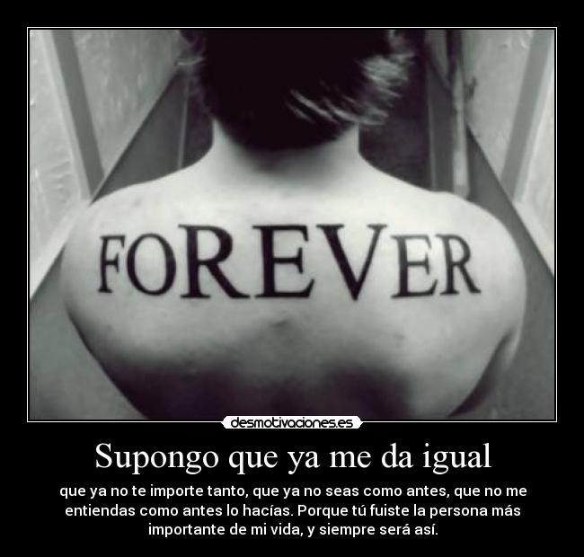 Supongo que ya me da igual - 