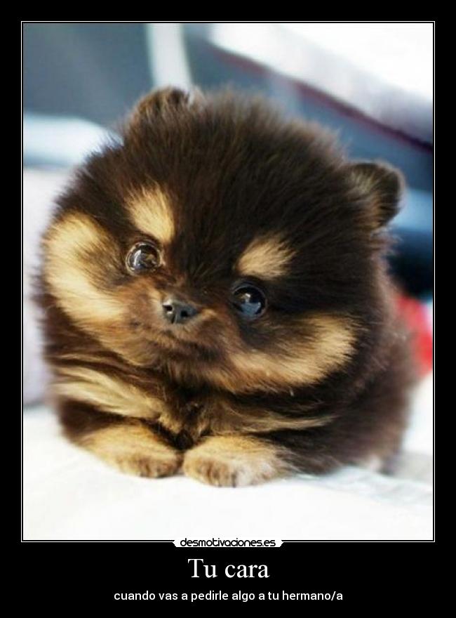 carteles hermanos pedir cosas cara tierno desmotivaciones