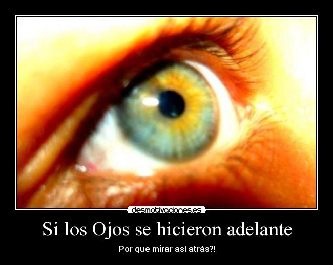 Si los Ojos se hicieron adelante - Por que mirar así atrás?!