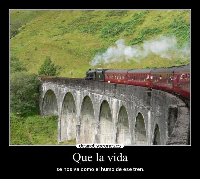 carteles vida aprovecha vida que solo hay una desmotivaciones