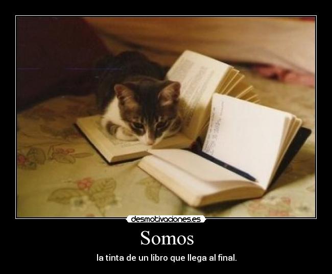 Somos - 