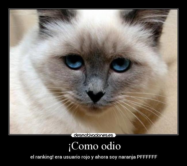 ¡Como odio - el ranking! era usuario rojo y ahora soy naranja PFFFFFF