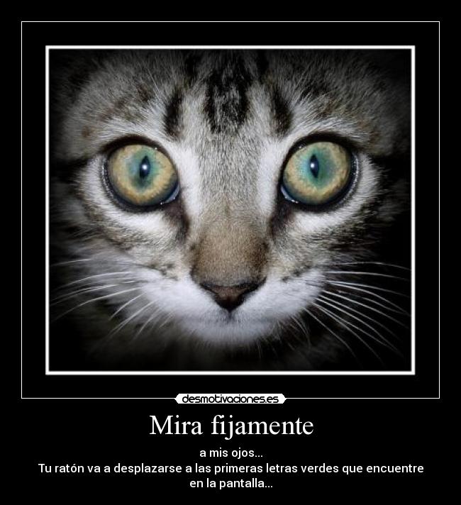 Mira fijamente - a mis ojos...
Tu ratón va a desplazarse a las primeras letras verdes que encuentre en la pantalla...