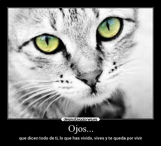 Ojos... - que dicen todo de ti, lo que has vivido, vives y te queda por vivir