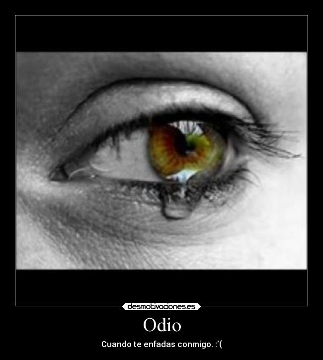 Odio - Cuando te enfadas conmigo. :(