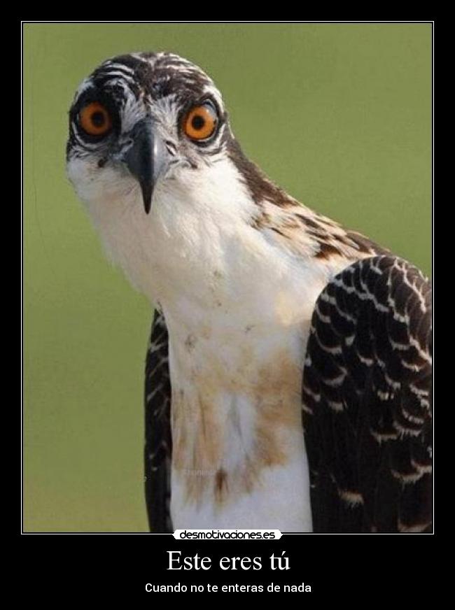 Este eres tú - Cuando no te enteras de nada