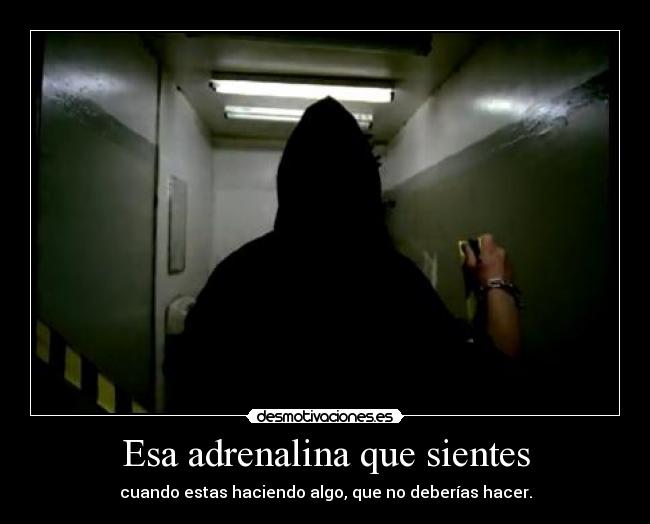 Esa adrenalina que sientes - cuando estas haciendo algo, que no deberías hacer.