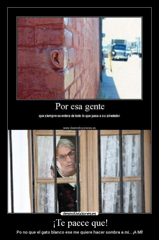 carteles vieja visillo oreja muro ventana gatossombra desmotivaciones