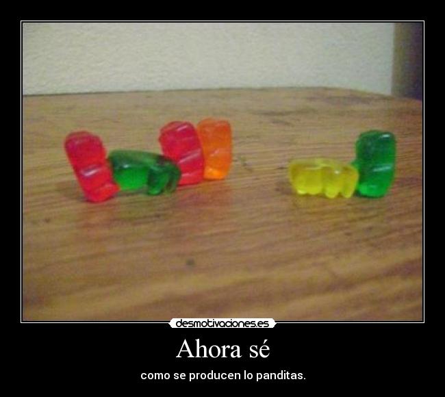 Ahora sé - como se producen lo panditas.