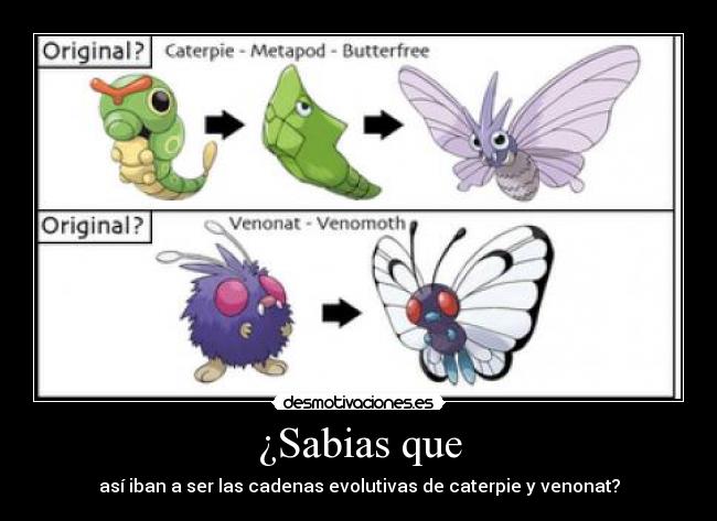 ¿Sabias que - así iban a ser las cadenas evolutivas de caterpie y venonat?