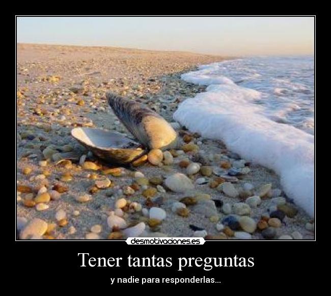 Tener tantas preguntas - y nadie para responderlas...