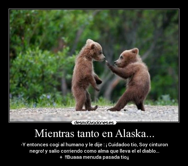 Mientras tanto en Alaska... -