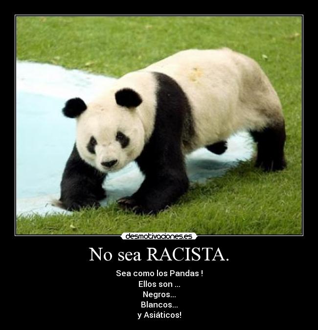 carteles pandas desmotivaciones