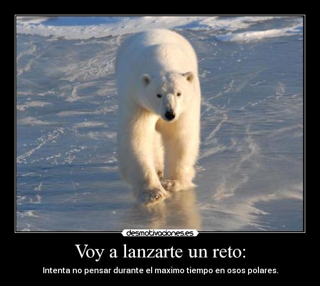 Voy a lanzarte un reto: -