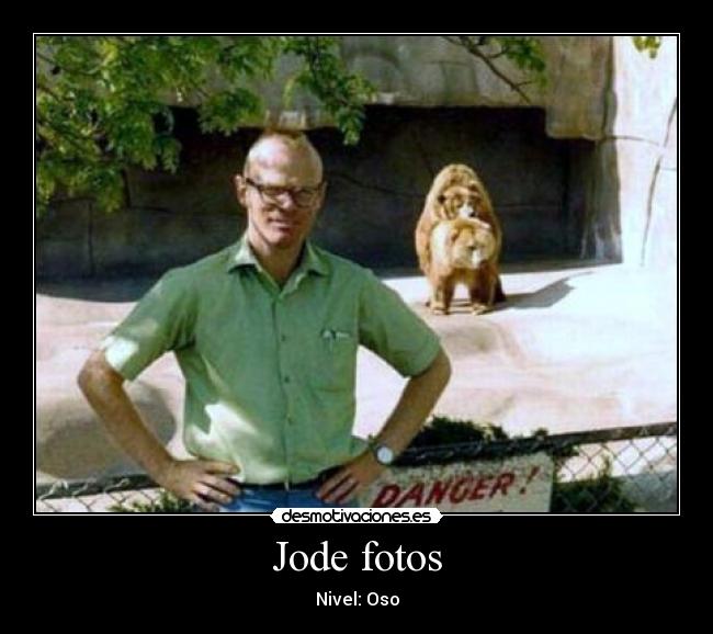 Jode fotos - Nivel: Oso