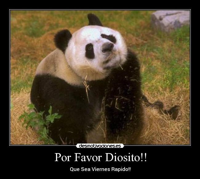 Por Favor Diosito!! - 