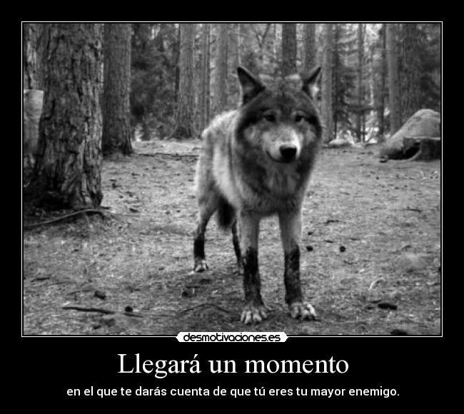 Llegará un momento -