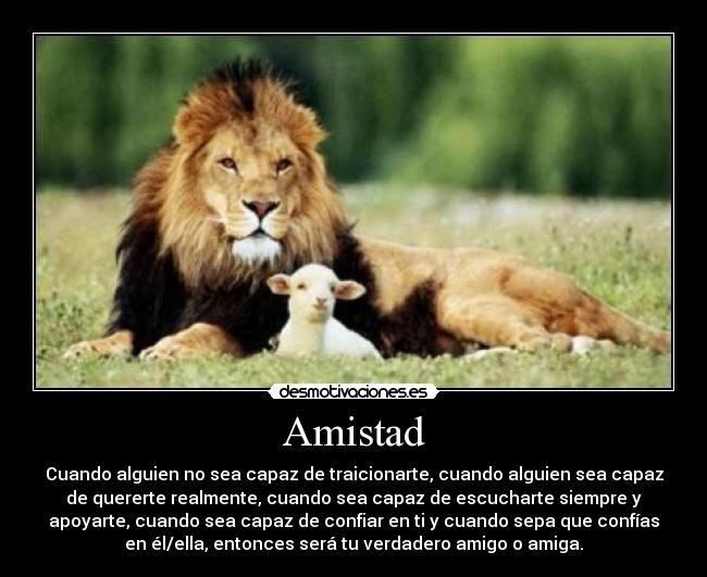 Amistad - Cuando alguien no sea capaz de traicionarte, cuando alguien sea capaz
de quererte realmente, cuando sea capaz de escucharte siempre y
apoyarte, cuando sea capaz de confiar en ti y cuando sepa que confías
en él/ella, entonces será tu verdadero amigo o amiga.