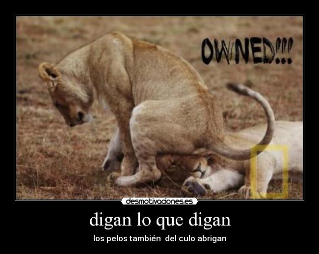 digan lo que digan - los pelos también del culo abrigan