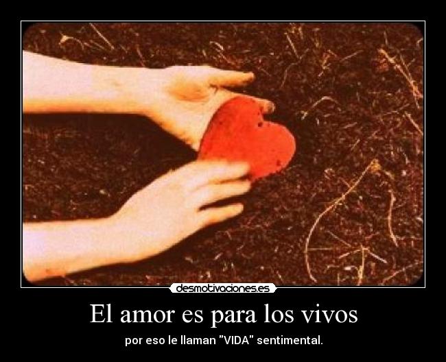 El amor es para los vivos - 