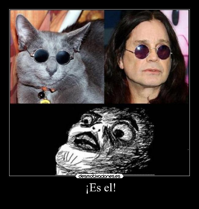 carteles ozzy desmotivaciones