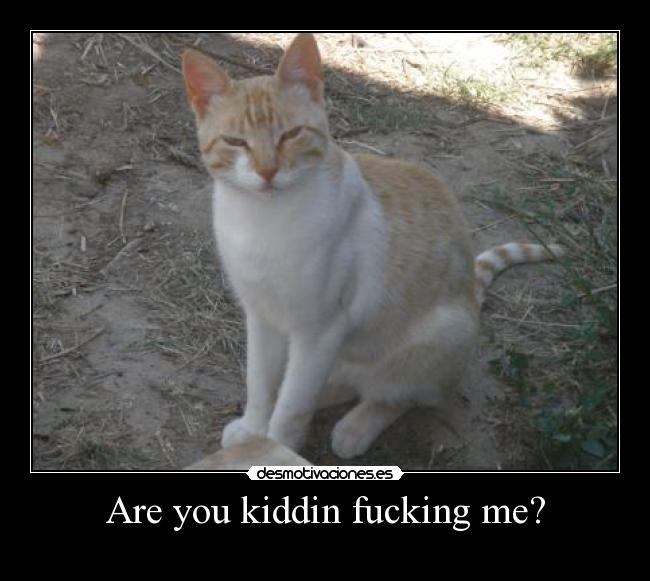 Are you kiddin fucking me? - 