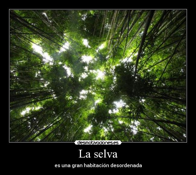La selva - es una gran habitación desordenada