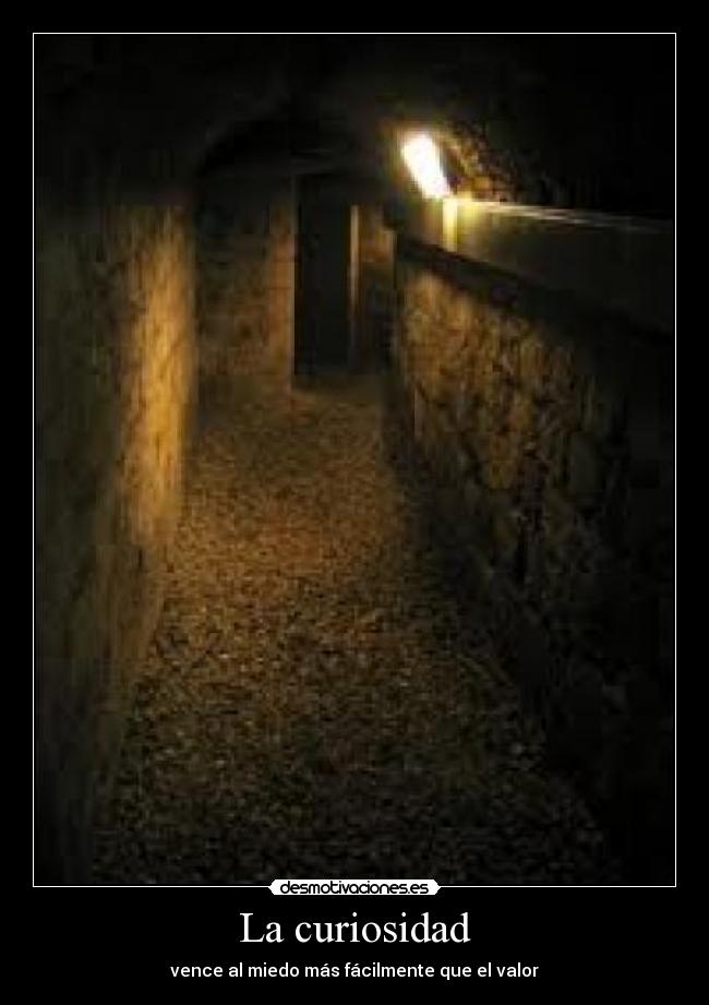 La curiosidad - vence al miedo más fácilmente que el valor