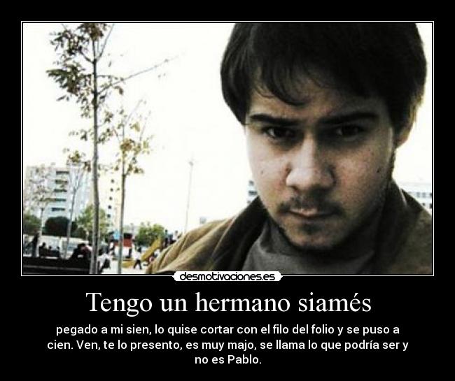 carteles haselmania xdd desmotivaciones