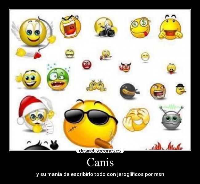 Canis -