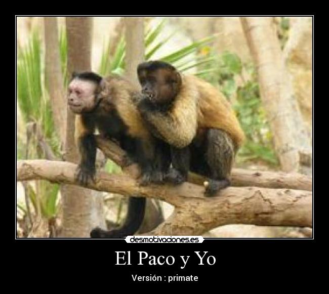 El Paco y Yo -