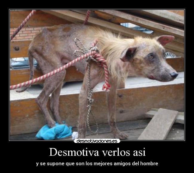 Desmotiva verlos asi - 