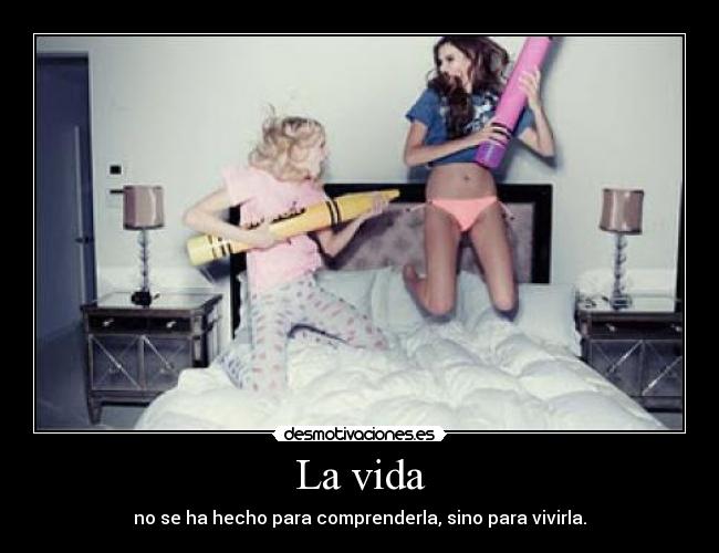 La vida - no se ha hecho para comprenderla, sino para vivirla.