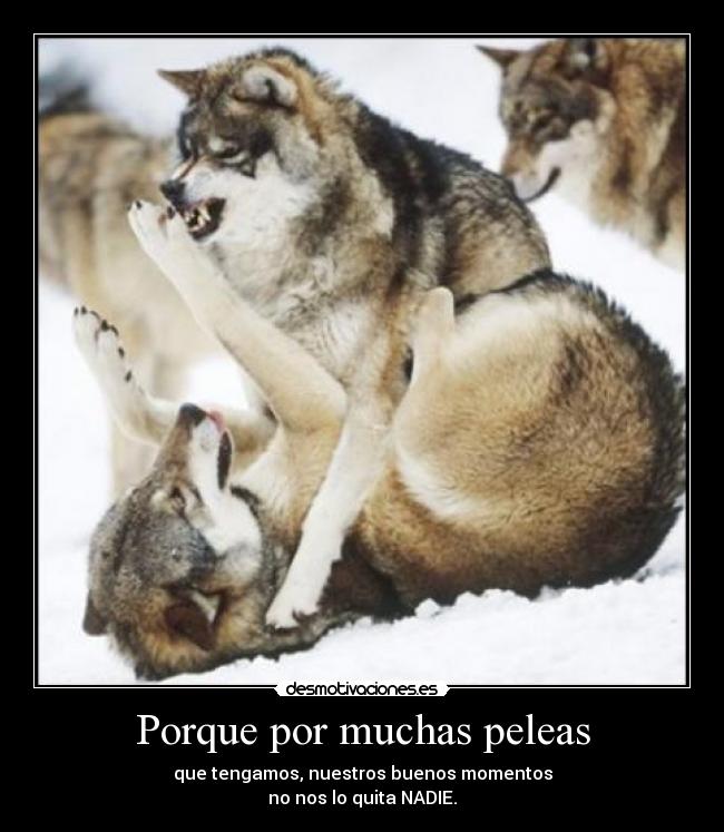 Porque por muchas peleas - que tengamos, nuestros buenos momentos
no nos lo quita NADIE.