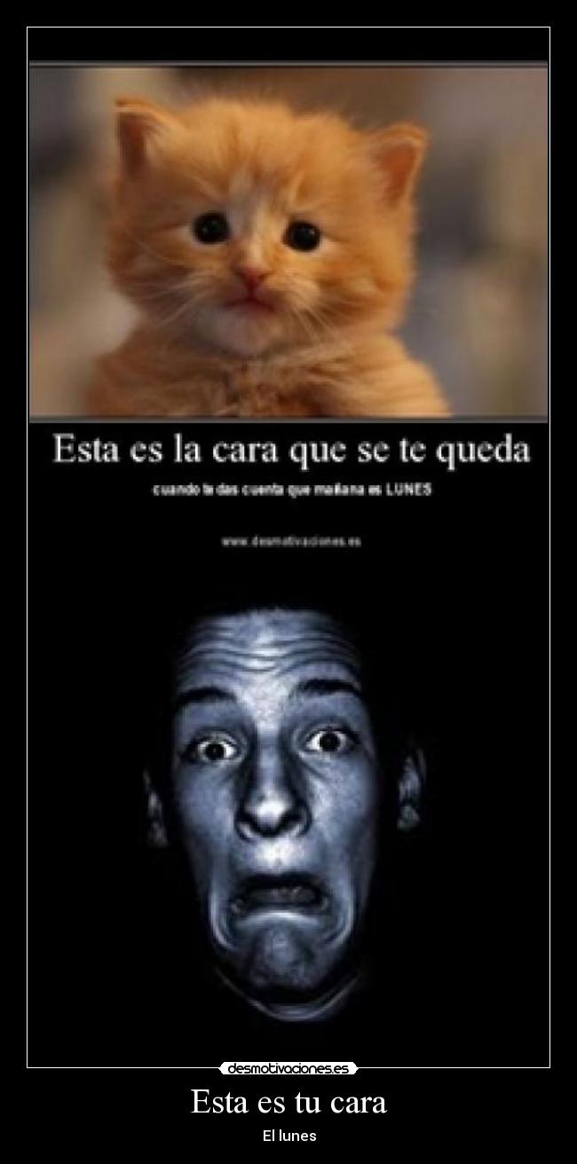 carteles lunes desmotivaciones