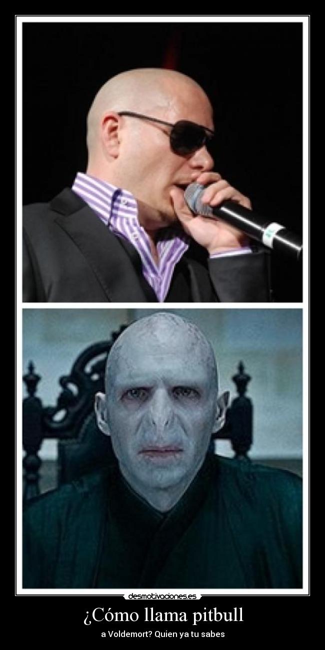 ¿Cómo llama pitbull - a Voldemort? Quien ya tu sabes